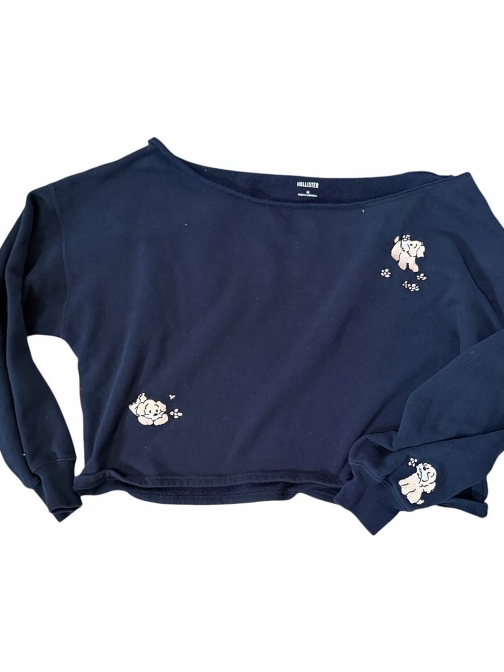 Hollister off the shoulder puppy crew neck